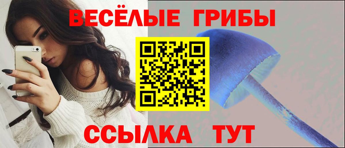 даркнет сайт  Вход с VPN  Коммунар  Галлюциногенные грибы GOLDEN TEACHER 