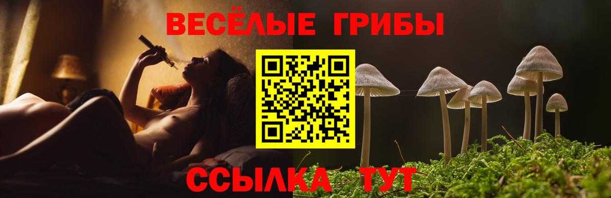 Псилоцибиновые грибы мухоморы Коммунар